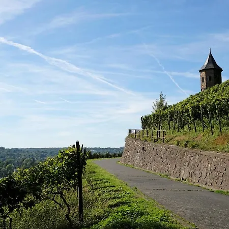 Апартаменты Grosszugiges Mit Blick Ins Grune Und Eigener Terrasse Кёнигсвинтер